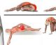 6 esercizi di stretching del piriforme per sciogliere il dolore alla sciatica ed alla schiena