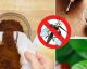 5 semplici rimedi scaccia zanzare