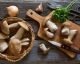 Le regole base per cucinare i funghi come al ristorante