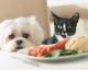 20 alimenti pericolosi per i vostri cani e gatti
