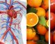 7 alimenti che migliorano la circolazione sanguigna