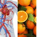 7 alimenti che migliorano la circolazione sanguigna