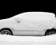 Dalla Russia una tecnica INFALLIBILE per togliere la NEVE dalla macchina