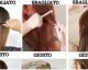 Come spazzolare correttamente i capelli? L'hai sempre fatto nel modo sbagliato