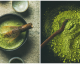 Preparate il Tè verde Matcha, il n°1 tra tutti i tè per mantenere forma e salute