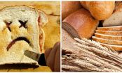 Il pane fa ingrassare: mito o realtà?