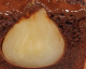 Il plumcake alle pere e cioccolato, il più autunnale che ci sia!