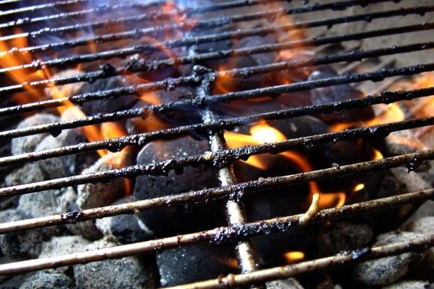 COSA SUCCEDE SE METTI DEL GHIACCIO SUGLI HAMBURGER!