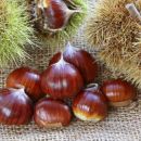 Viva le CASTAGNE! Idee dolci e salate per usarle in cucina