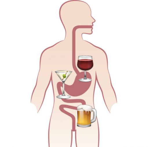 BIERSCHISS: Das macht der Alkohol mit unserer Verdauung!