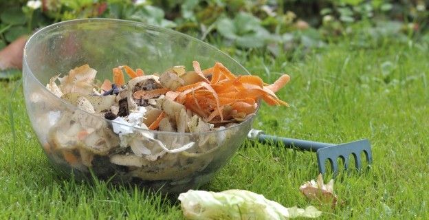 Les &eacute;pluchures  de l&eacute;gumes