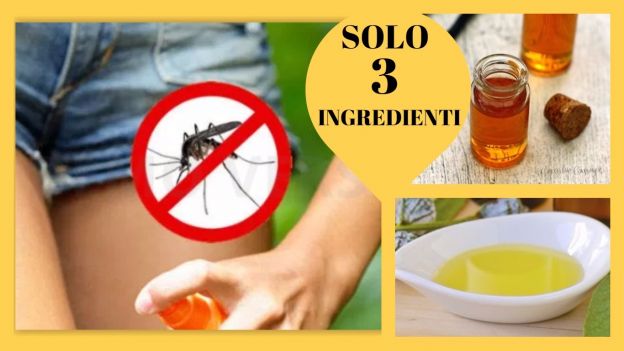 Come combattere le zanzare in modo davvero efficace con solo 3 ingredienti naturali