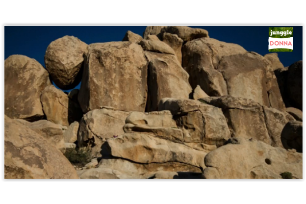 Solo il 3% trova la risposta : RIESCI A VEDERE LA BAMBINA NELLA FOTO?