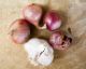 Come conservare più a lungo le cipolle e l'aglio in dispensa