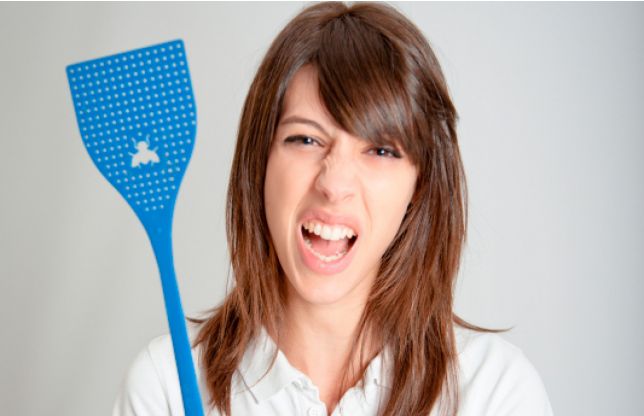 Addio Zanzare ! Come liberarsene definitivamente