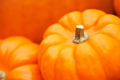 I superfoods: ecco 10 alimenti sani da non farsi mai mancare