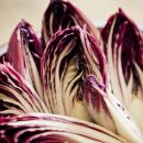 Stagione di radicchio rosso : tutto cio' che non sapete