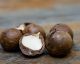 Le noci di macadamia e le loro incredibili proprietà