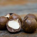 Le noci di macadamia e le loro incredibili proprietà