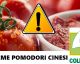 INVASIONE DI POMODORO CINESE, la COLDIRETTI lancia l'ALLARME