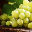 La dieta dell'uva: la miracolosa dieta di ottobre 