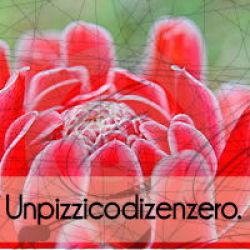 Intervista realizzata da Federica