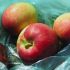 Accellerare il processo di maturazione della frutta