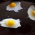 Cuocere le uova di quaglia
