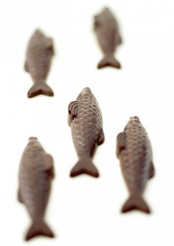 I pesciolini di cioccolato