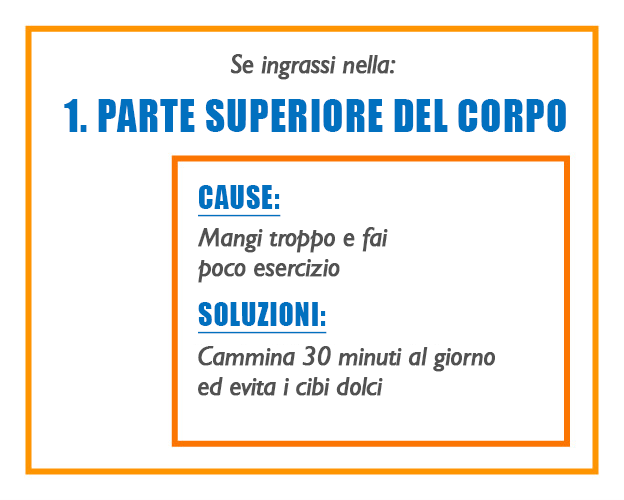 PARTE SUPERIORE DEL CORPO