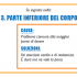 PARTE INFERIORE DEL CORPO
