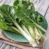 Mangiare di più - Verdure a foglia verde