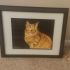 05 Gatto Ritratto