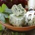 Formaggio Roquefort