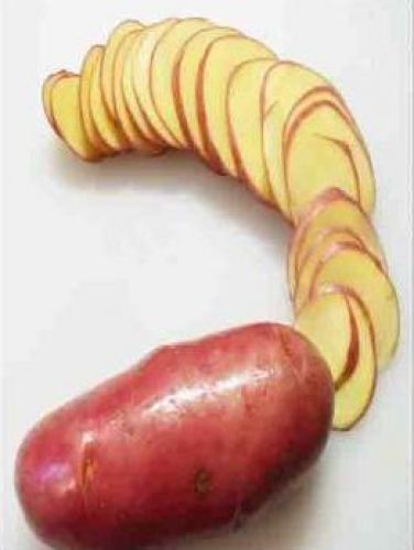 Lessare e tagliare a fettine