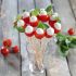 Spiedini pomodori e mozzarella