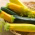 Le zucchine