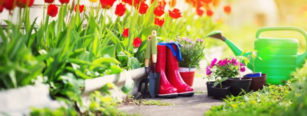 L'erba del mio giardino è la più verde!