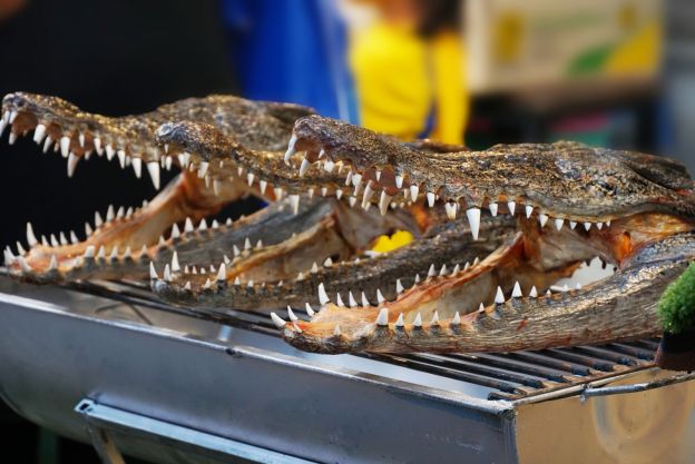 Astenetevi dal leggere se avete stomaci sensibili!