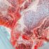 come ridurre i tempi di cottura della carne