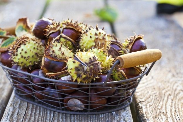 La farina di castagne