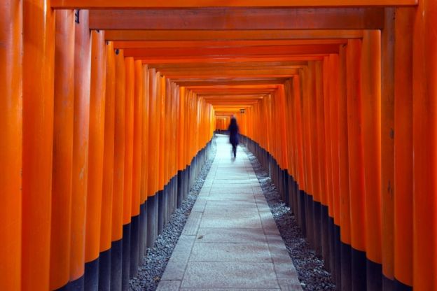 2. La passeggiata tra le torri FUSHIMI IMARI