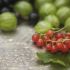 Ribes rosso a grappolo
