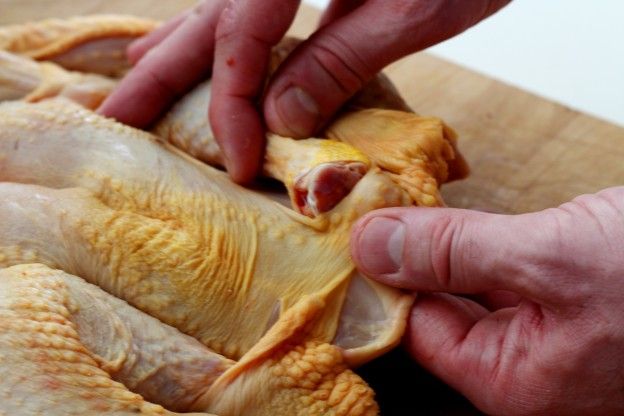 Mettete dentro l'estremità delle cosce