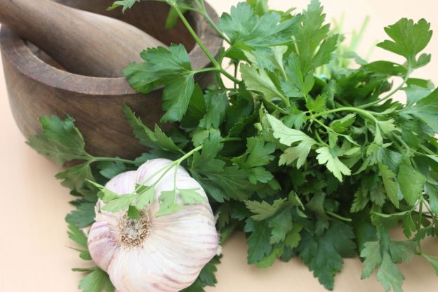 erbe fresche sempre a portata di mano