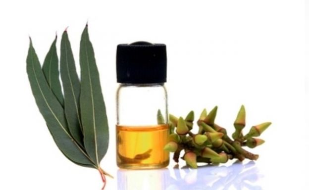<strong>5 OLIO D'EUCALIPTO</strong>