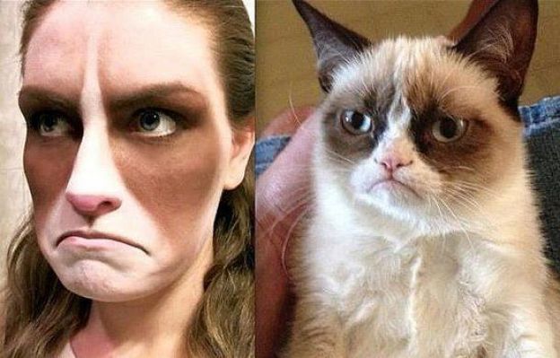 Travestiti da grumpy cat