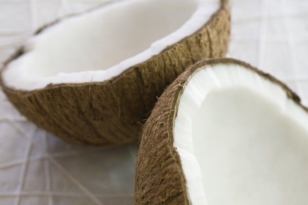 Cocco