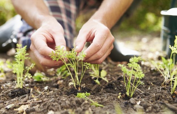 con lo chef Barnes i rifiuti diventano piatti deliziosi