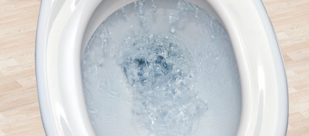 La toilette non è una discarica